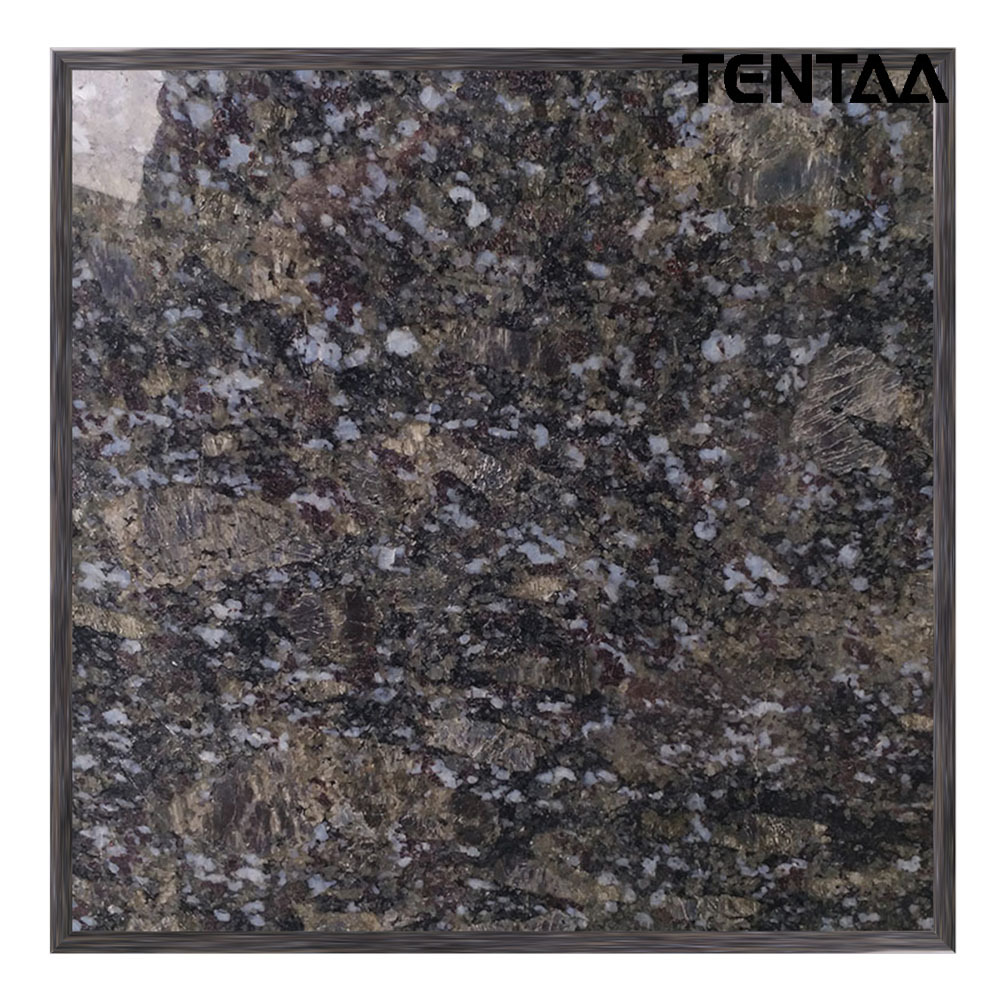 福建南安石材厂家生产火烧面光面荔枝面蝴蝶兰花岗岩tentaa加工