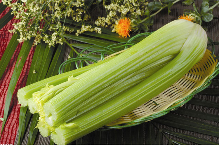 根芹种籽西芹欧芹芹菜种子种籽春秋季四季小香芹种菜种籽蔬菜种孑