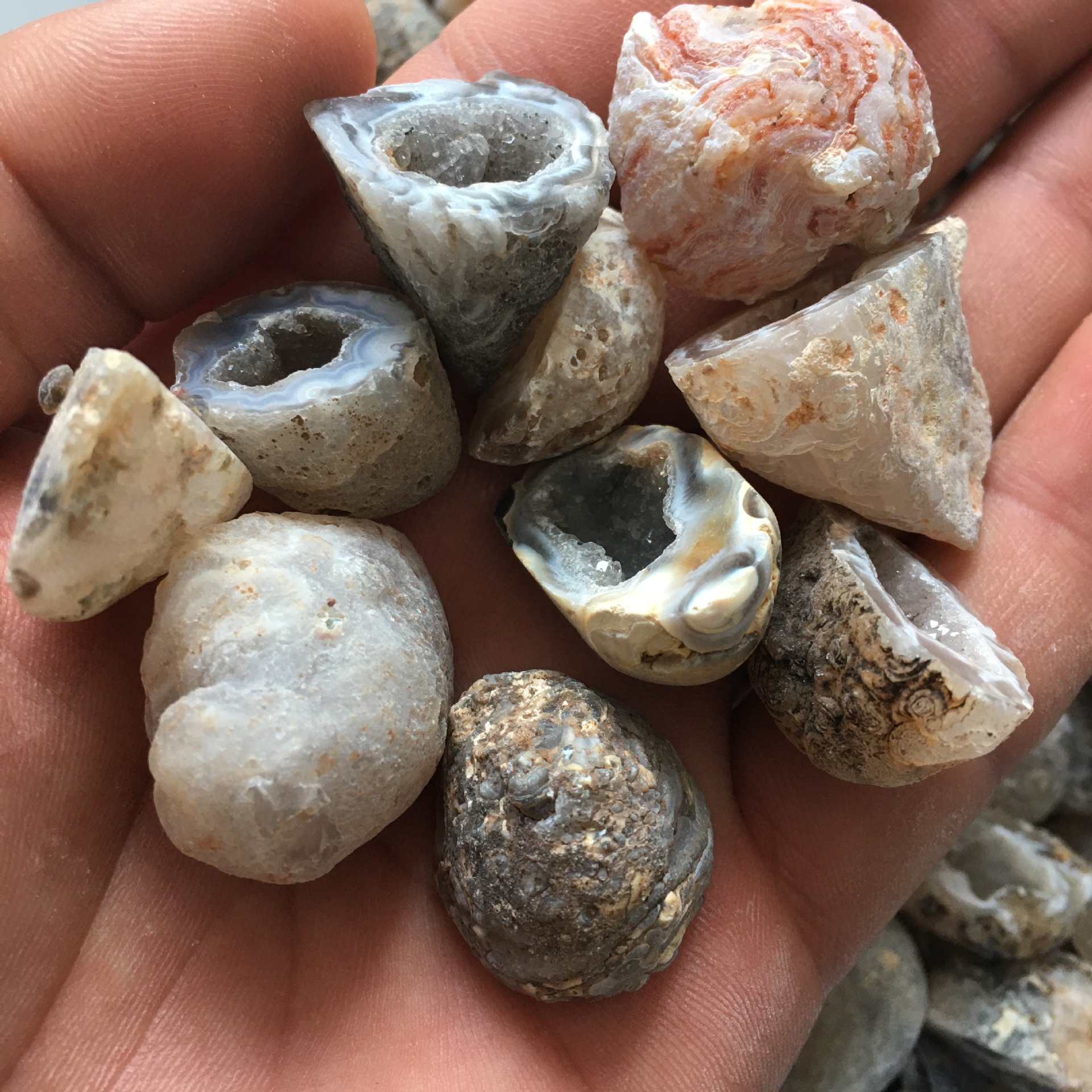 天然巴西迷你玛瑙水晶聚宝盆 玛瑙水晶洞 玛瑙饰品原石小晶洞