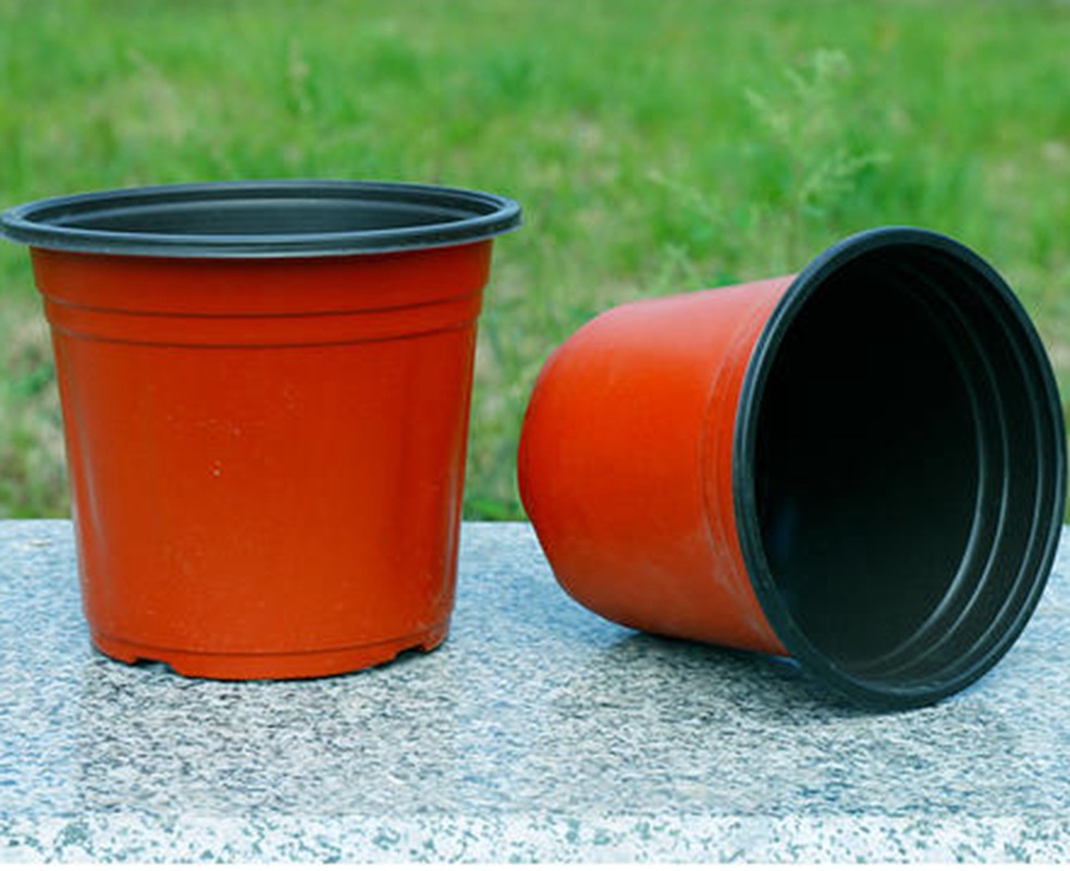 双色花盆园艺双色软育苗盆多肉培育盆容器双色育苗盆营养钵