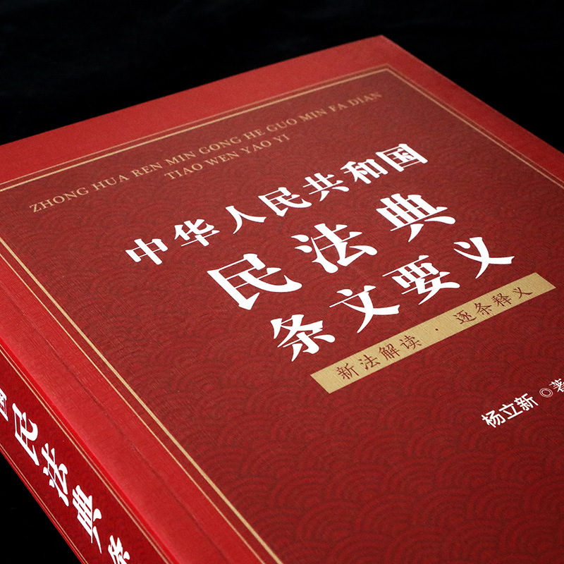 【现货!2021新版民法典】中华人民共和国民法典条文要义 杨立