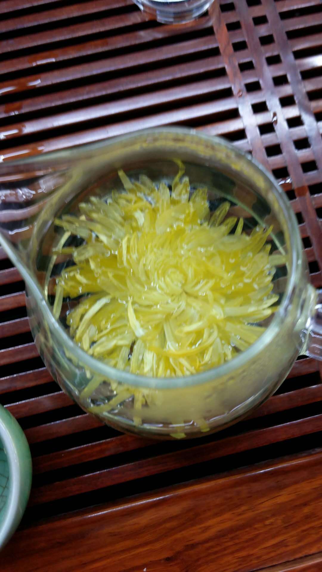 特价处理金丝皇菊大朵菊花茶 一朵一杯独立袋装 泡开10公分大朵