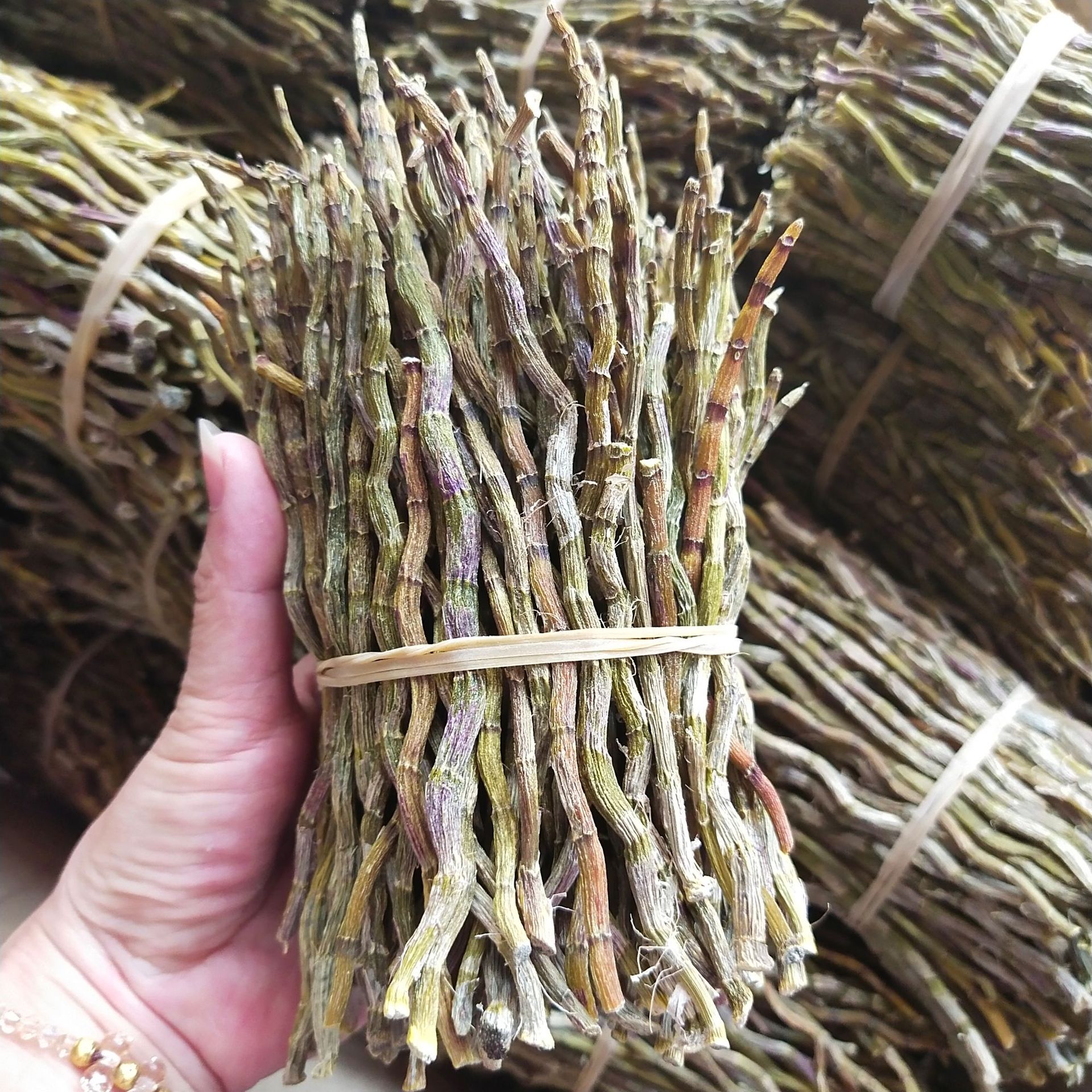 批发铁皮石斛条铁皮石斛石斛枫斗铁皮石斛干条一件代发