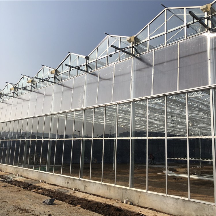 现货生产简易日光薄膜温室 连栋温室大棚 阳光板温室大棚供应-报价