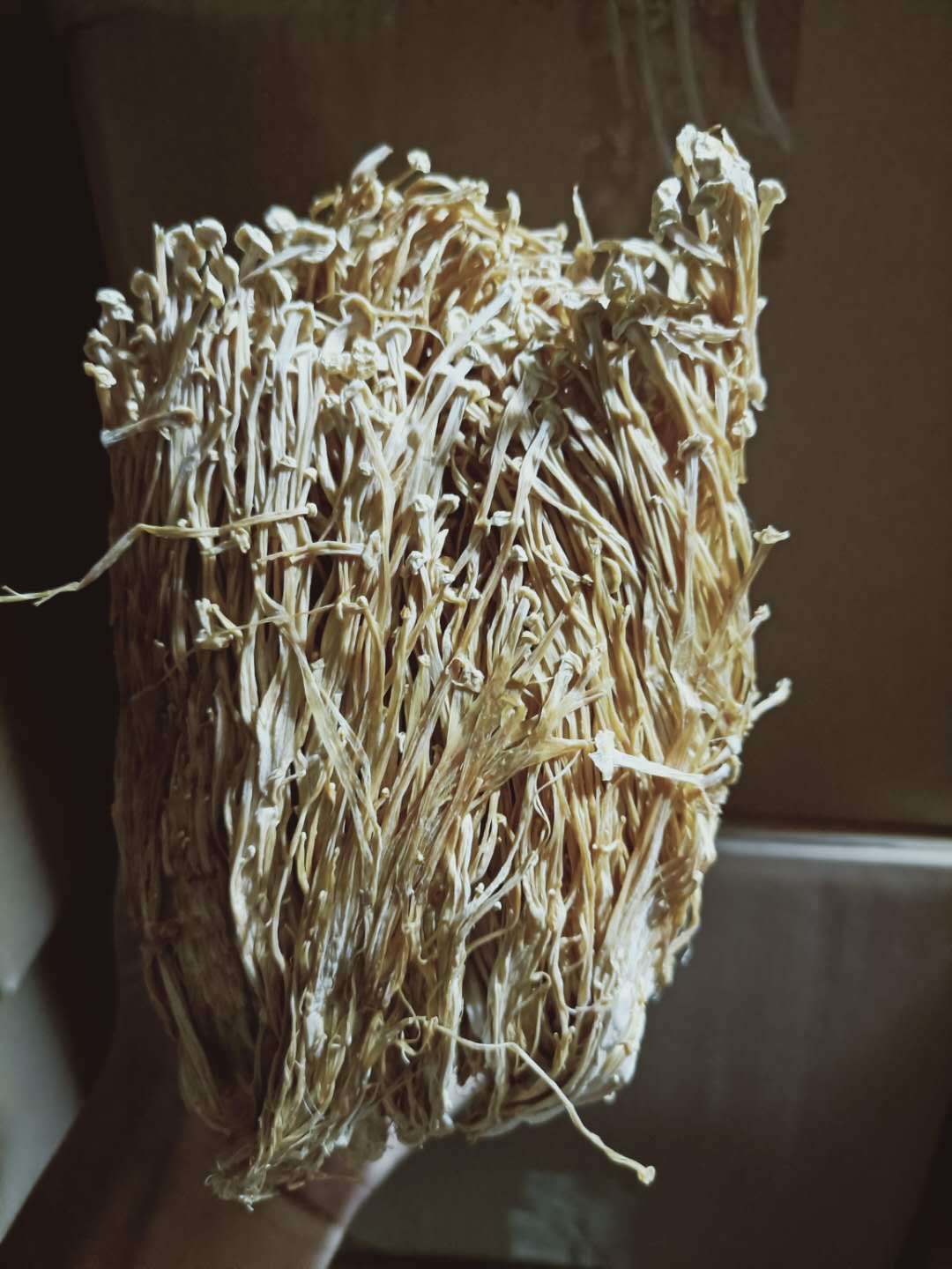 润泽食用菌金针菇干品金针菇多糖