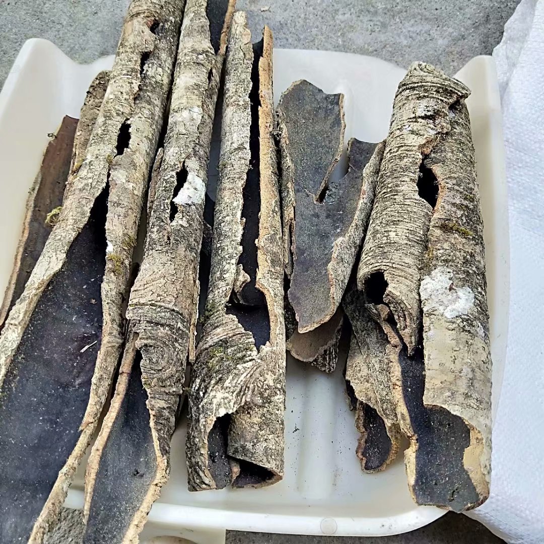 中药材救必应 每件500克