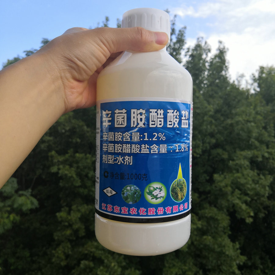 东宝农化18辛菌胺醋酸盐苹果梨柑橘葡萄腐烂桃树酸腐病杀菌剂