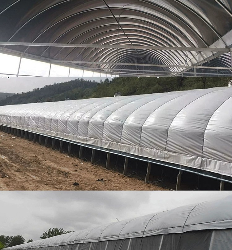大棚膜养殖黑白膜防晒遮阳隔热保温反光膜食用菌种植青储加厚长寿