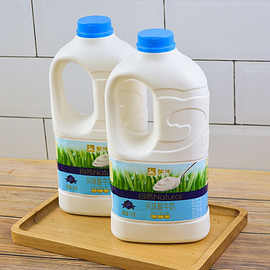 新日期 蒙牛酸奶1.1kg 原味大桶装酸牛奶 水果捞原料批发包邮