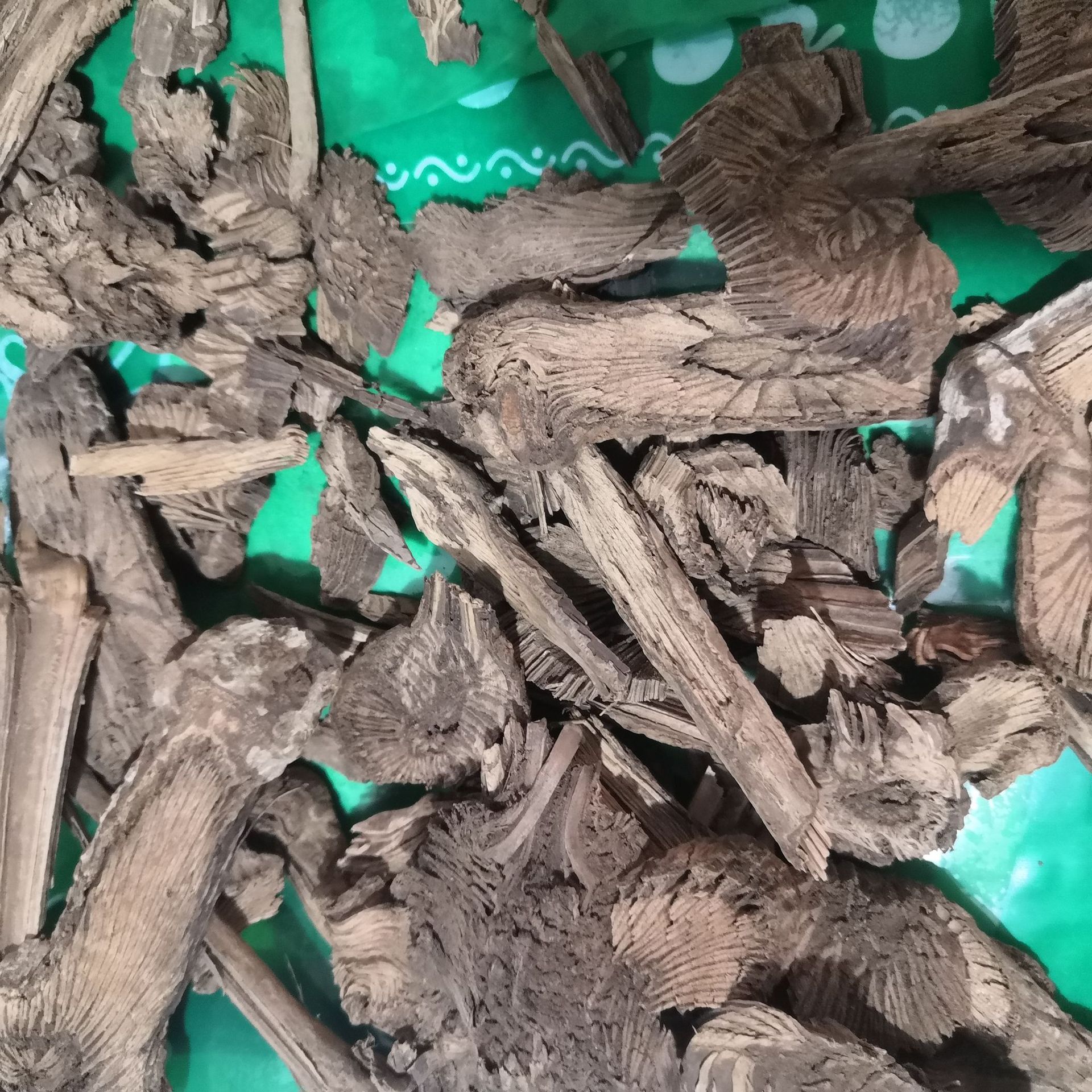 中药材胡椒根   山胡椒根 无硫干货  实物拍摄