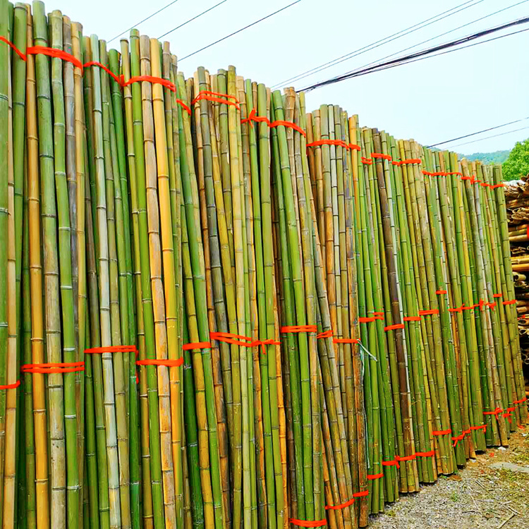 厂家大量特价批发竹竿篱笆护栏农用支撑早园竹按要求定制