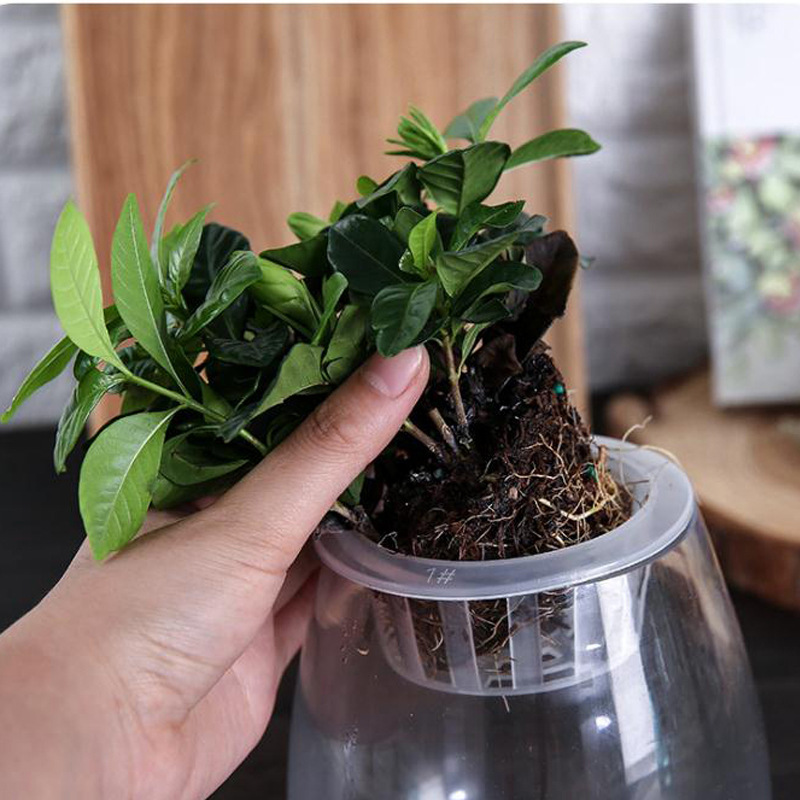 厂家直销花盆花瓶定水培定植篮 固根器加深棉绳吸水盆栽塑料网