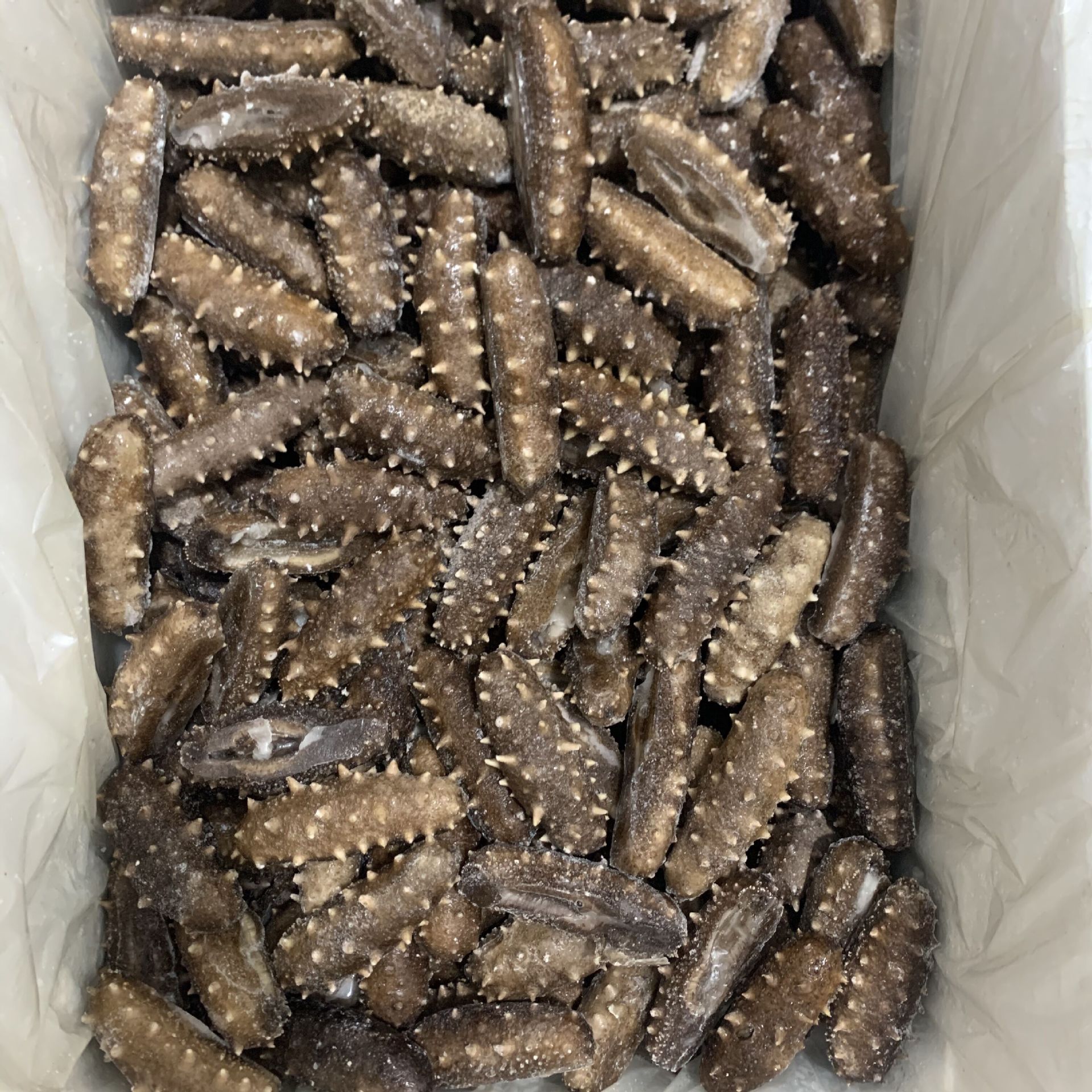 福建即食海参 8-25只一斤 酒店餐饮食材 海参佛跳墙 霞浦海参厂家