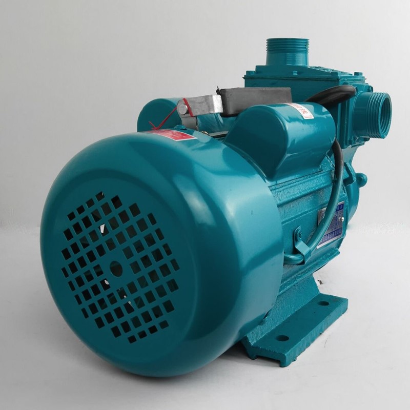 220v家用小型大吸力水井抽水泵农村水塔供水增压单相自吸泵批发