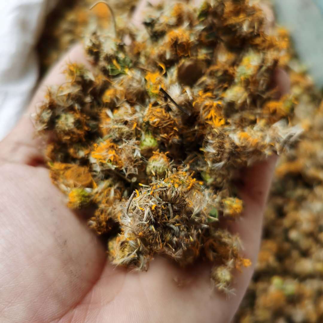 批发 旋复花中药材 新货 旋覆花 散装 金佛花中草药粉原料b