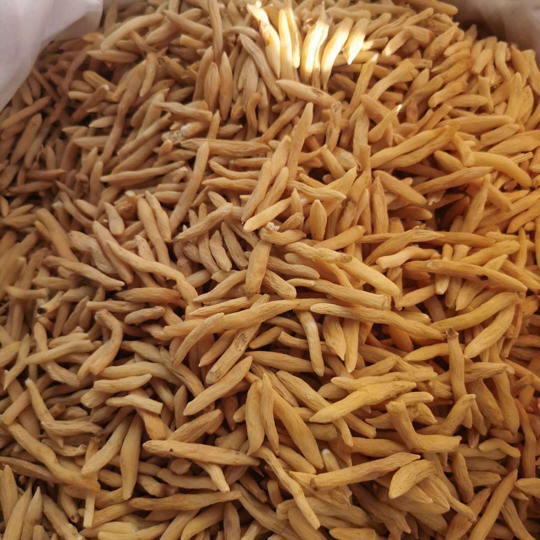 湖北麦冬山麦冬山东麦冬产地直供农产品药食同源散装麦冬