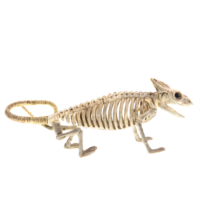 万圣节骷髅骨架系列仿真塑料人体骨架鬼屋密室逃脱装饰道具批发