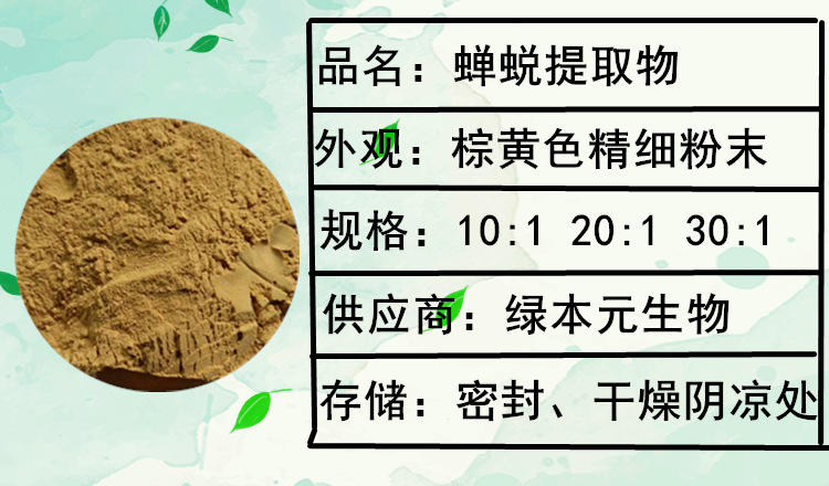 蝉蜕提取物 10:1 20:1 蝉蜕粉 蝉蜕速溶粉 浓缩粉 浸膏粉 /蝉衣粉