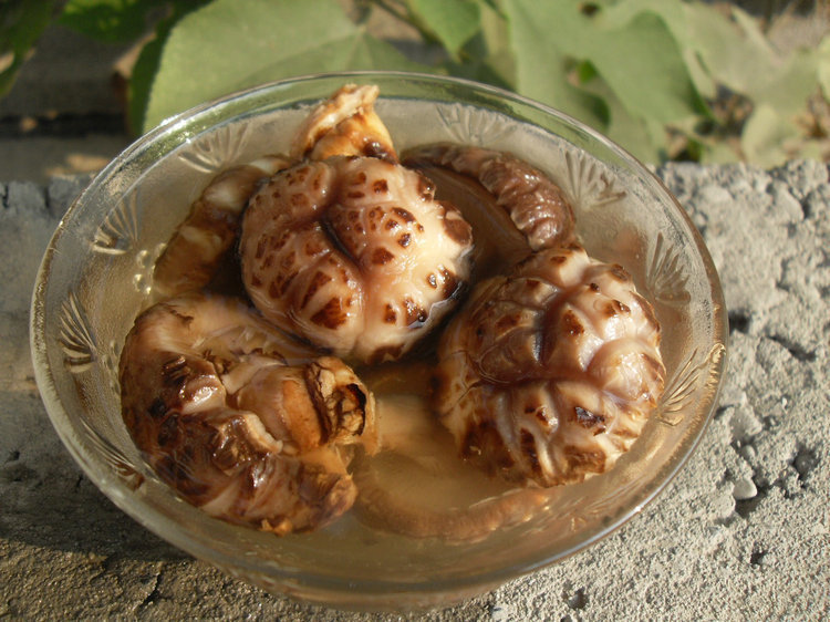 房县香菇 厂家直销野生椴木花菇 肉菇 原木丑菇带腿 500g代发包邮