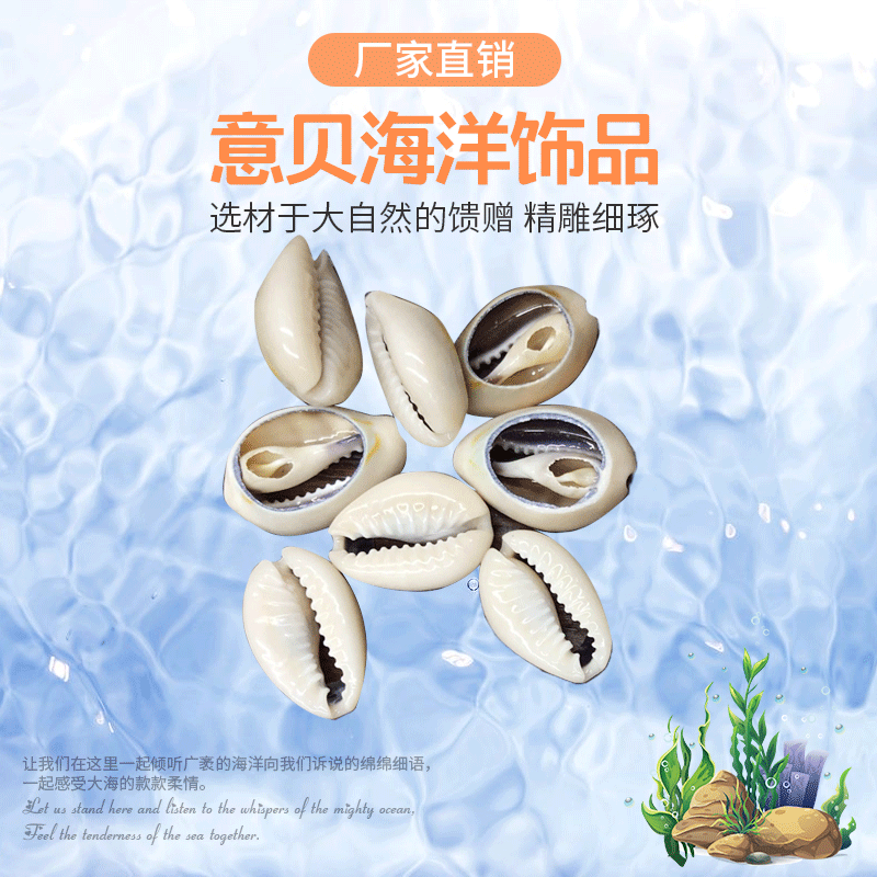 Natural Shell Natural Color Slice Home Clothing Shoes and Hats Conch Accessories Creative DIY Golden Edge Ornament Accessories