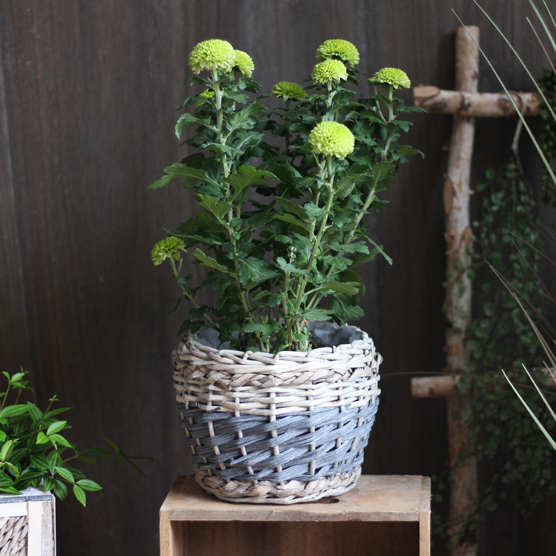 Straw Creative Green Dill Plant Flowerpot Rattan Basket Flower Ware