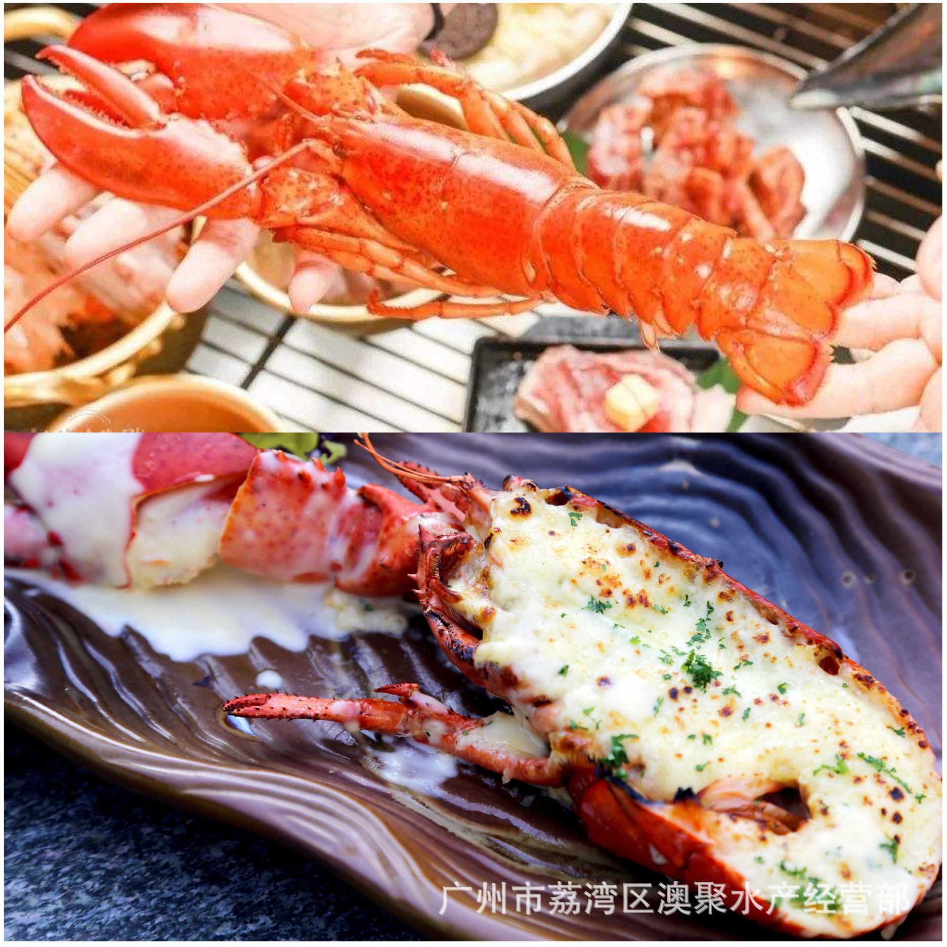 海鲜波龙波士顿龙虾熟冻 加拿大 冻品 酒店餐厅食材4.45kg/件