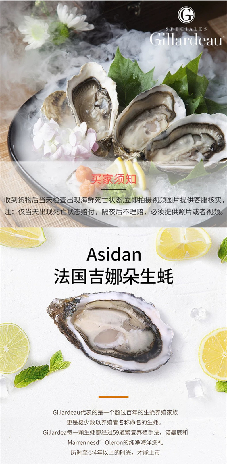 厂家吉拉多生蚝 新鲜吉娜朵刺身生蚝空运吉娜多 法国进口原装生吃