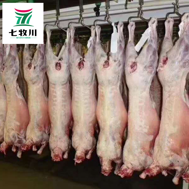 新西兰进口全羊 清真绵羊酮体羊腔子 餐饮食堂批发新鲜冷冻整羊
