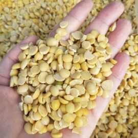 脱皮黄豆瓣出口标准去皮黄豆瓣适合做豆制品的高标准黄豆瓣