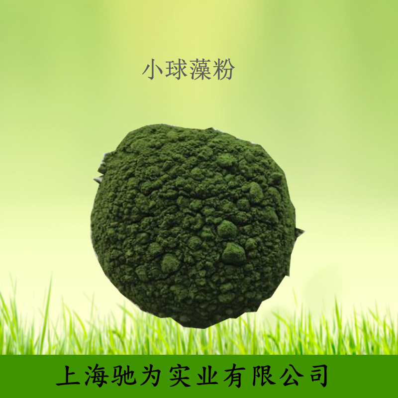 小球藻99小球藻粉食品级绿藻破壁小球藻1公斤起订