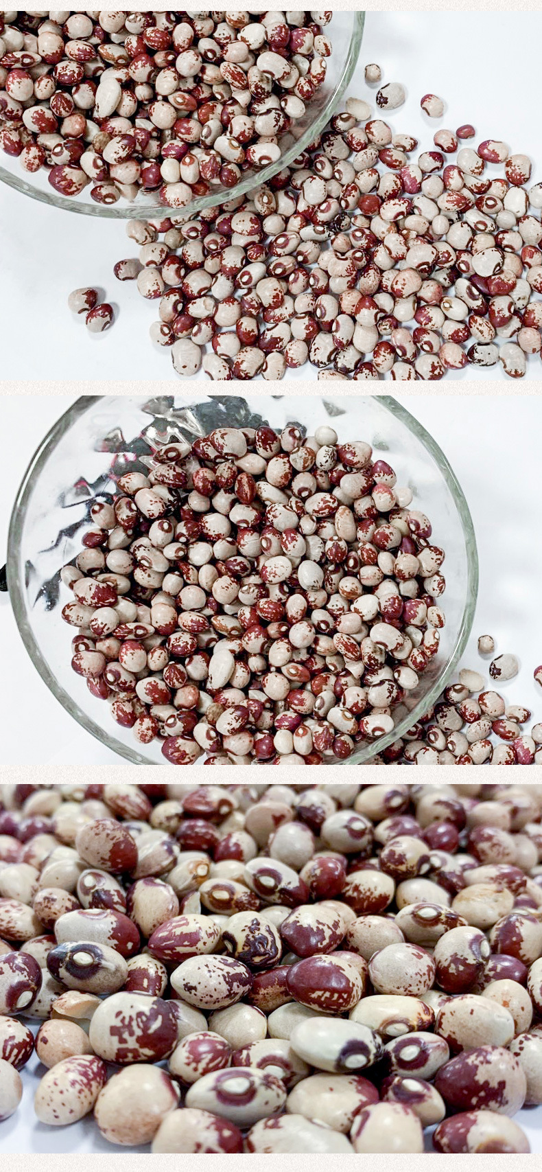 【花圆豆】 花豆 花圆豆 圆花豆 菊花豆 芸豆现货