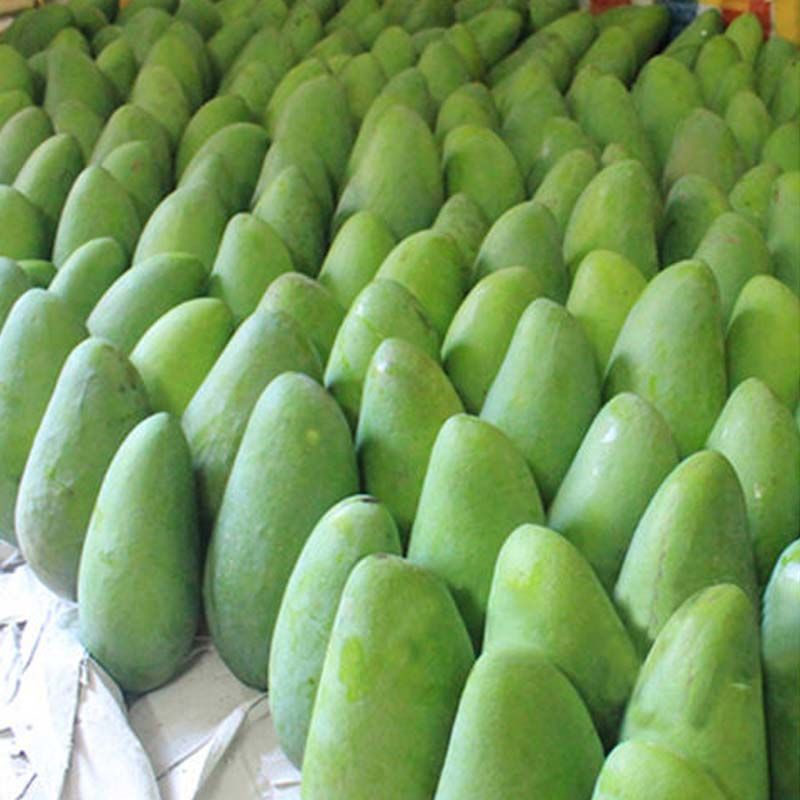 越南进口大青芒非海南贵妃芒果红金龙玉芒 新鲜水果特产10斤包邮