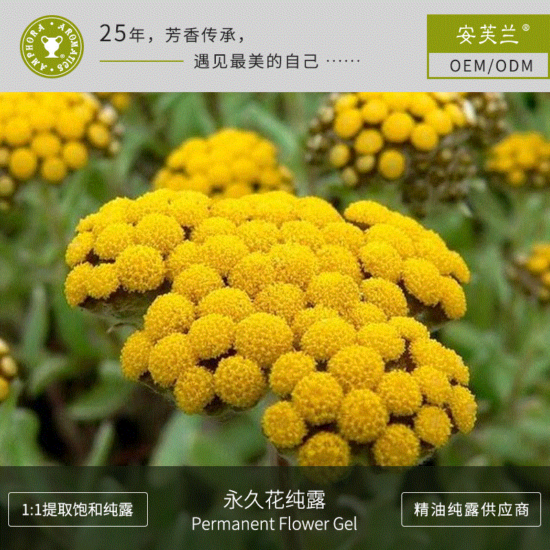 意大利永久花纯露 面部护理纯露护肤品 补水化妆品加实工力厂家