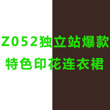 Z052独立站欧美爆款特色印花宽松显瘦连衣裙