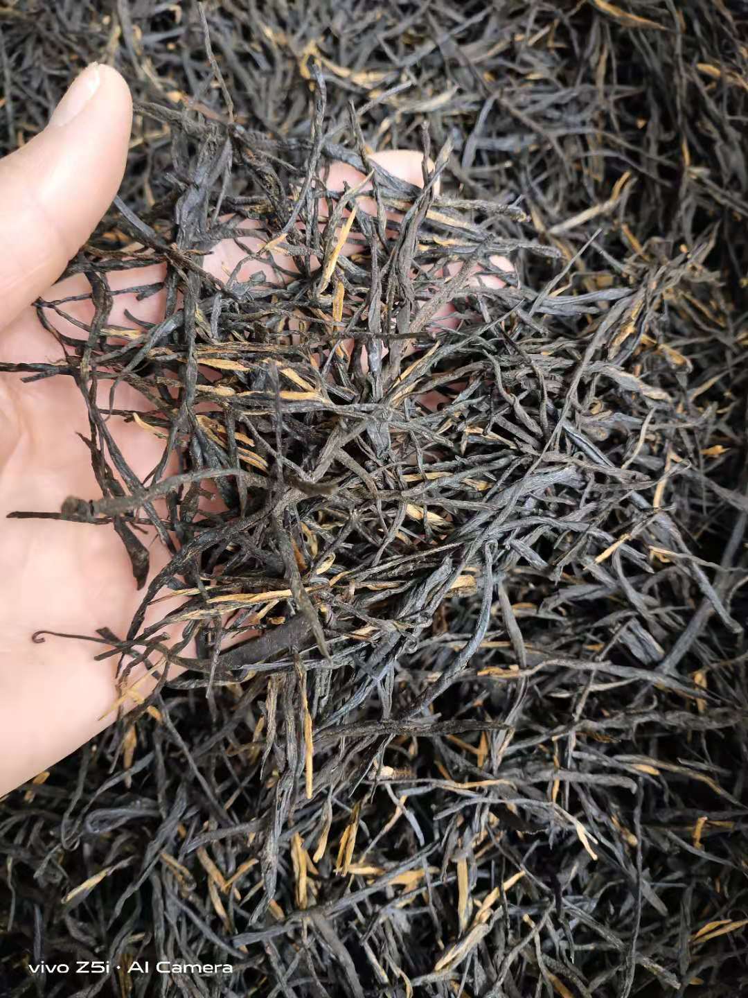 凤庆滇红松针 现货批发凤庆大叶种古树红茶 云南滇红茶-阿里巴巴