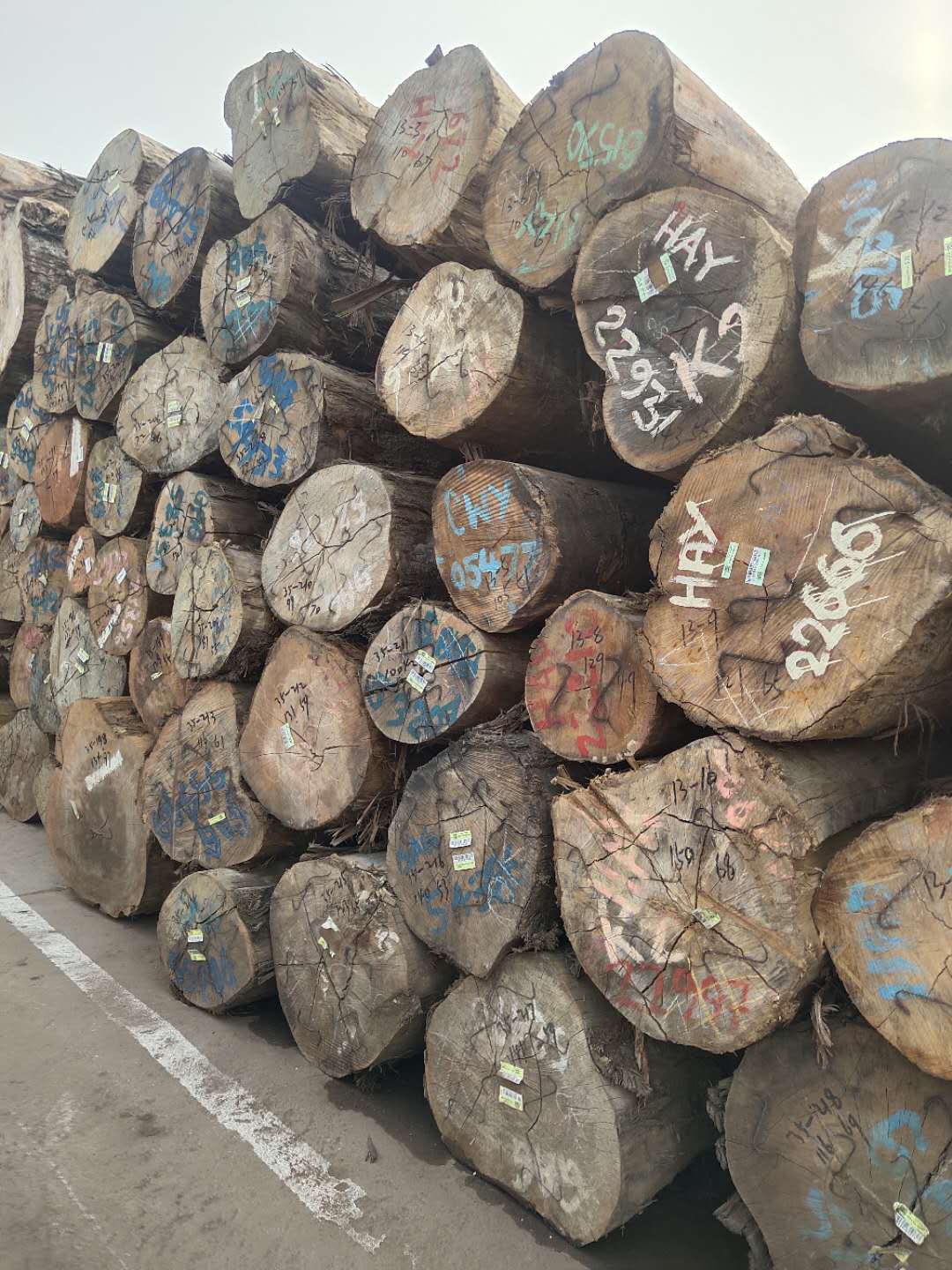 厂家供应黄硬木 巴新黄硬木 黄杂木 黄云香 原木 板材