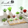 new pattern originality Decoration simulation Succulent plants triangle bonsai Manufactor Supplying Cross border Specifically for Artificial Flower new pattern originality Decoration simulation Succulent plants triangle bonsai Manufactor Supplying Cross border Specifically for Artificial Flower