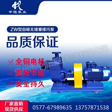 中恒泵业厂家供应65ZW30-50污水泵自吸泵无堵塞排污泵化工离心泵