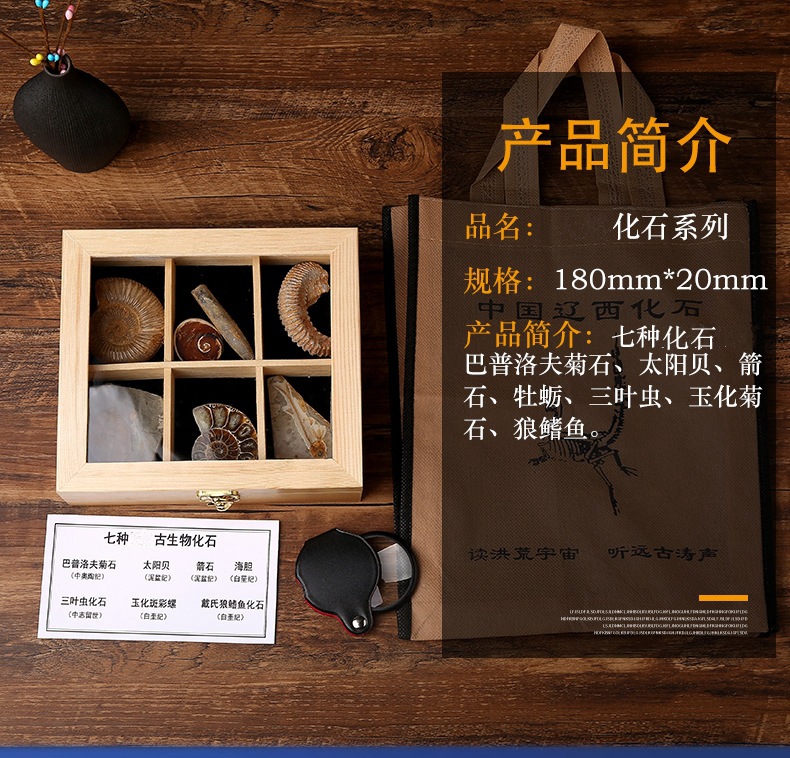 古生物化石三叶虫狼鳍鱼植物昆虫化石琥珀原石奇石摆件石头礼品