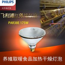 原装正品进口PHILIP飞利浦PAR38 175W红外线灯泡加热动物保温取暖