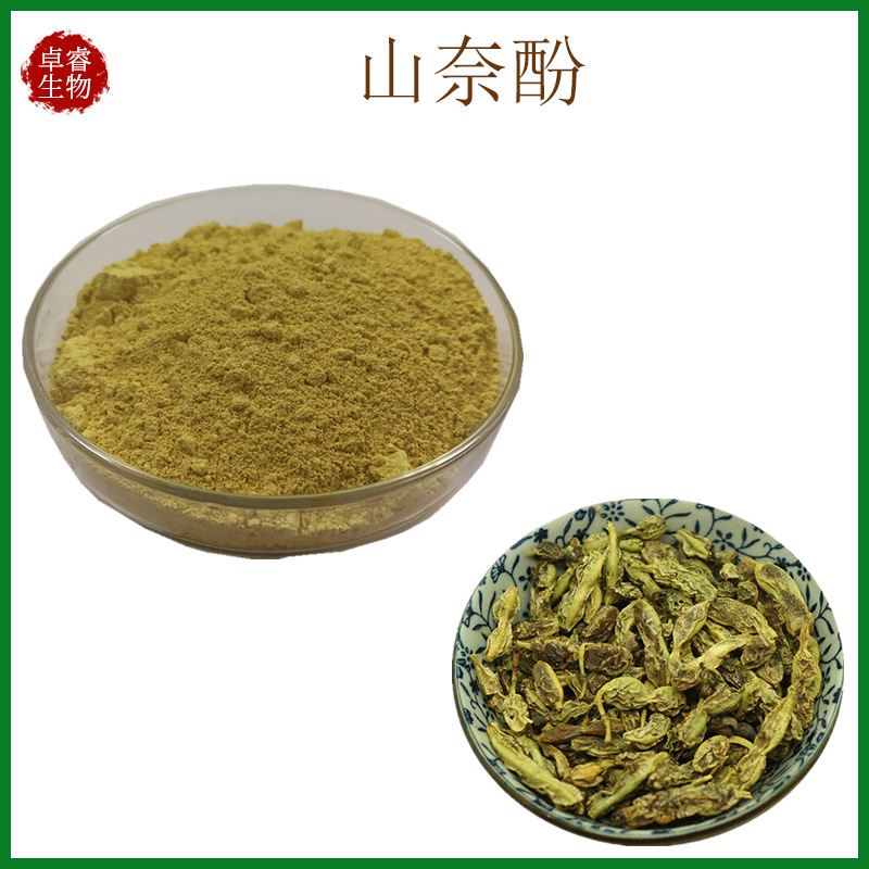 山奈酚 50%槐角提取物 kaempferol 520-18-3 山柰酚