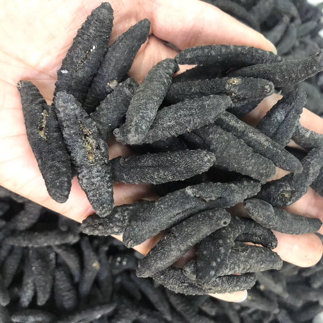 渠道批发深海天然野生海参土耳其参淡干海参干货涨发量高