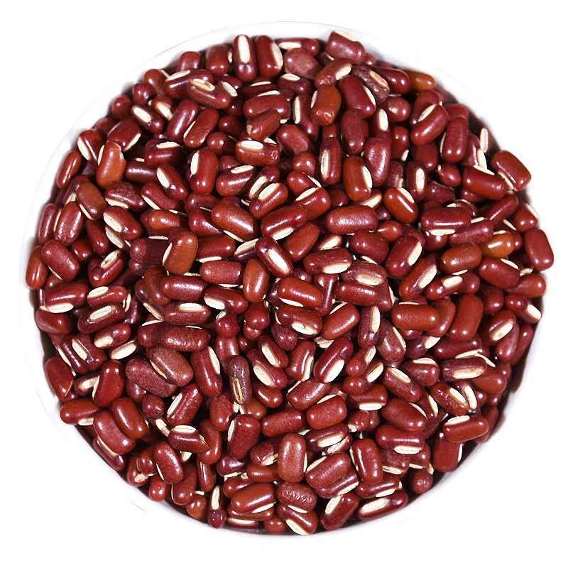 批发赤小豆 新货不熏染中药材原料农产品初加工 赤小豆粉沫红小豆
