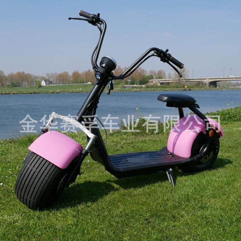 哈雷载重电动车电瓶车成人电动自行车外卖快递长跑王电摩代步车