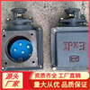 Jining supply EX100*100 Explosion proof motor Junction box 90*90 cast iron electrical machinery Junction box