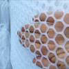 Manufactor Direct selling breed Plastic mesh Plastic flat net brand new Plastic mesh Hexagonal Manufactor Direct selling breed Plastic mesh Plastic flat net brand new Plastic mesh Hexagonal