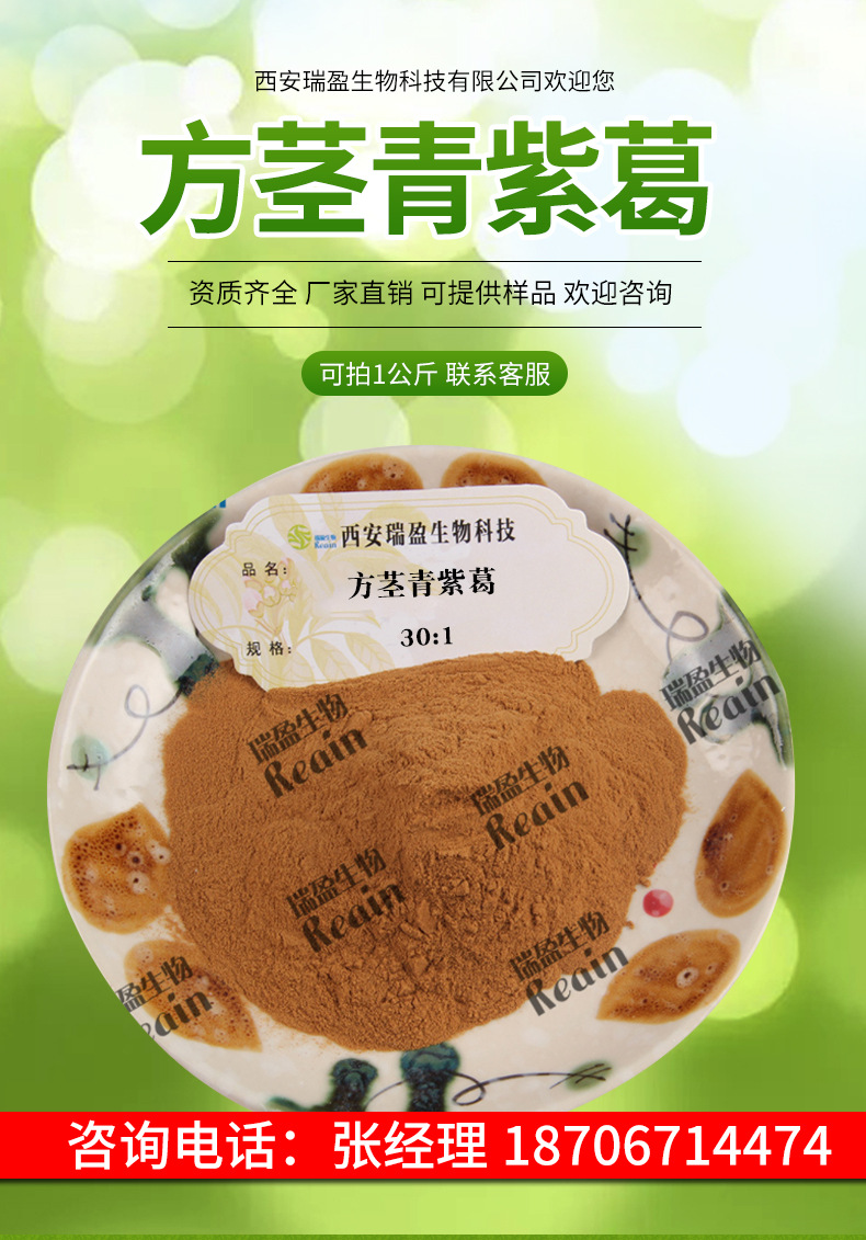 方茎青紫葛提取物 30:1 方茎青紫葛萃取物 有50:1高规格 厂家现货