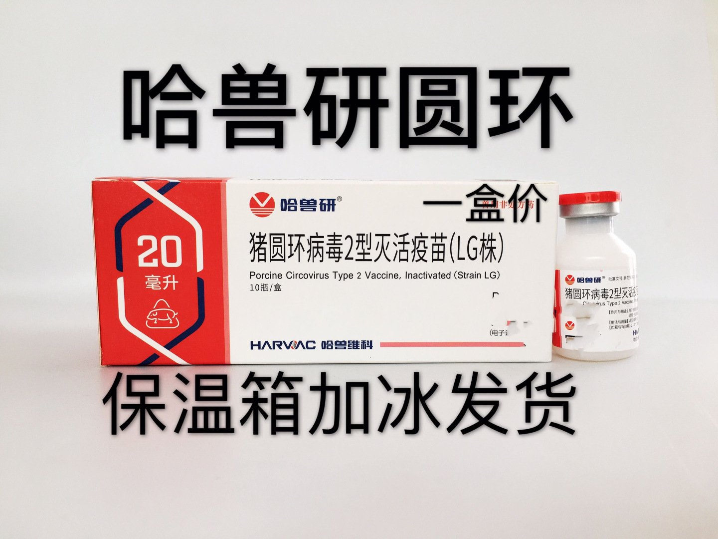 哈兽研猪圆环2型灭活疫苗lg株哈尔滨维科猪圆环疫苗猪圆环病毒