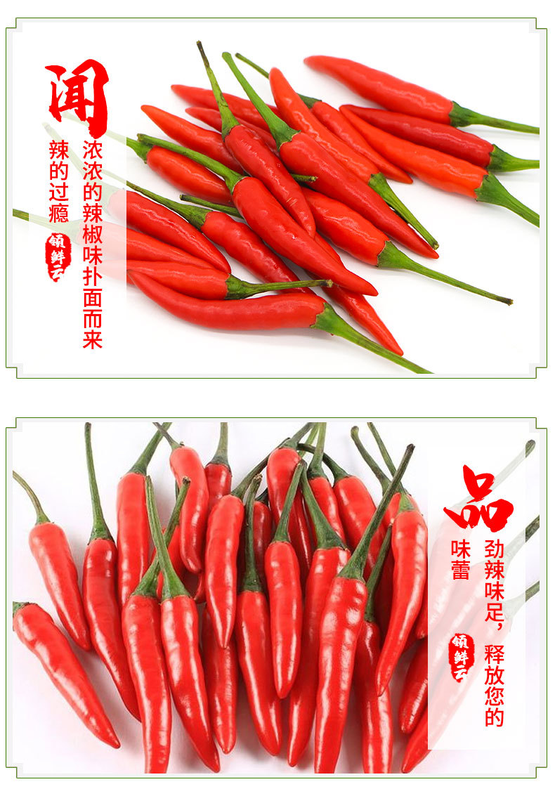 热卖 云南小米辣新鲜辣椒农家自种朝天辣红辣椒500g装可批发代发