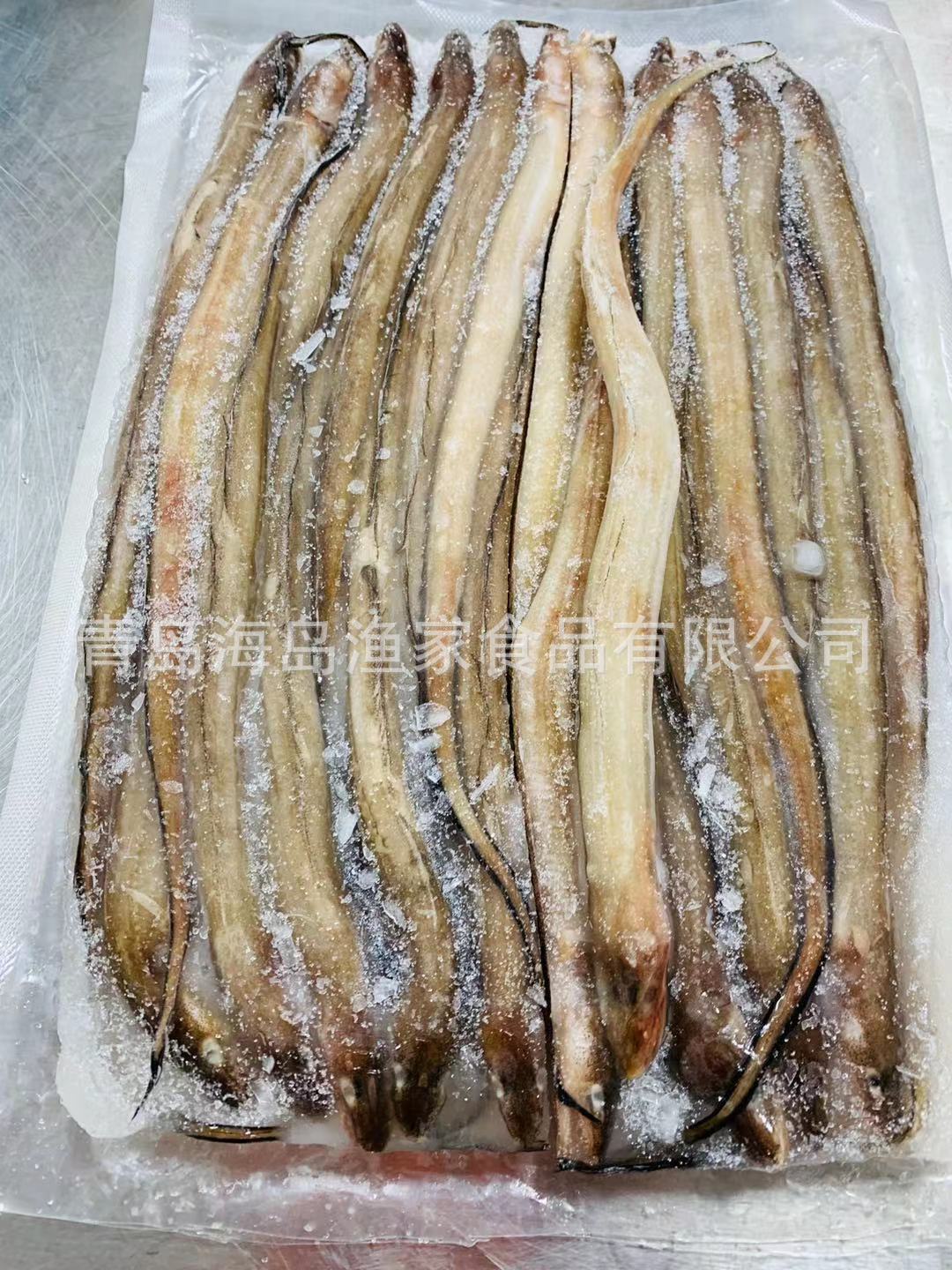 深海野生海小海鳗鱼 新鲜海鲜水产 海鳗白鳝鳗鱼小玉龙